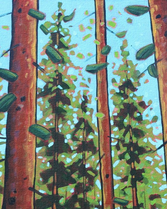 Trees of the Forest