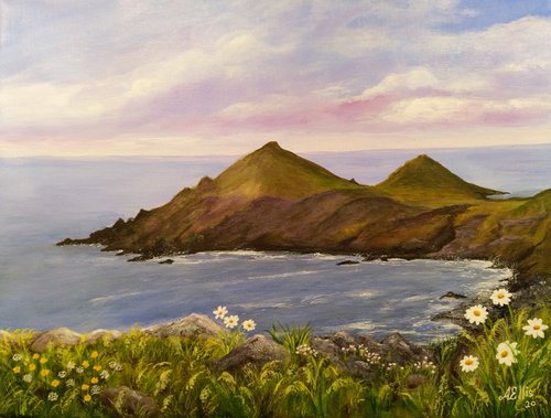 Beautiful Cornwall (The Rumps) by Anne-Marie Ellis
