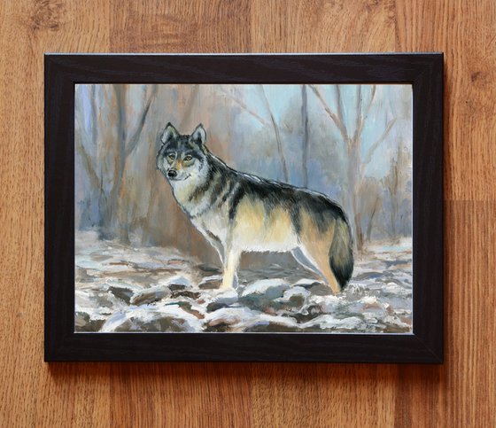 Winter wolf in snowy forest scene