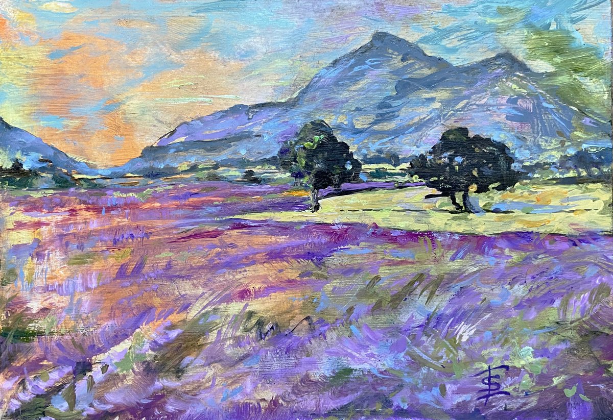 Lavender sunset by Elvira Sesenina
