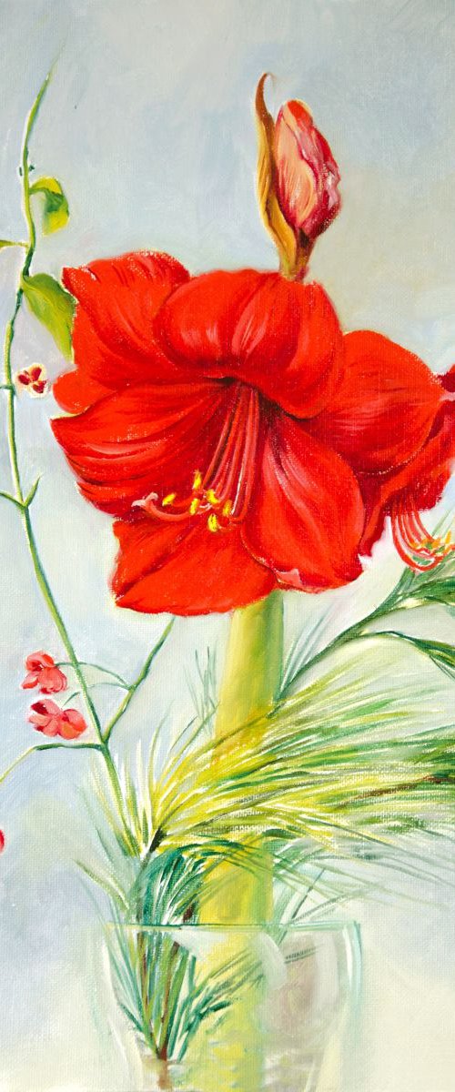 Red Amaryllis by Daria Galinski