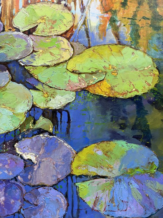 Water Lilies