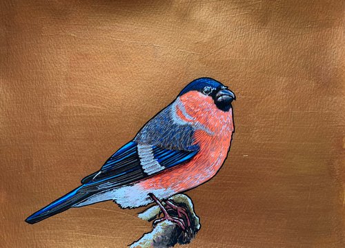 British Garden Birds series - Bullfinch by Karen Elaine  Evans