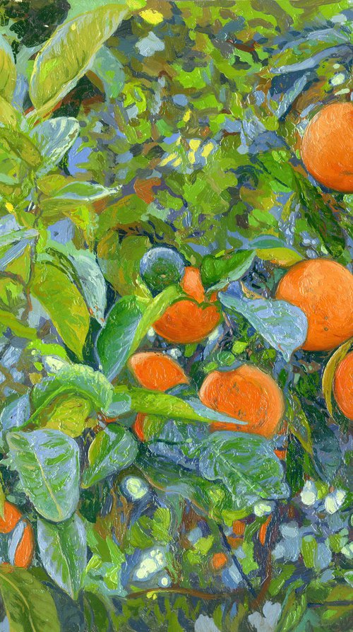 Oranges by Simon Kozhin