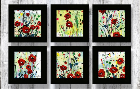 Poppy Dreams Collection 1