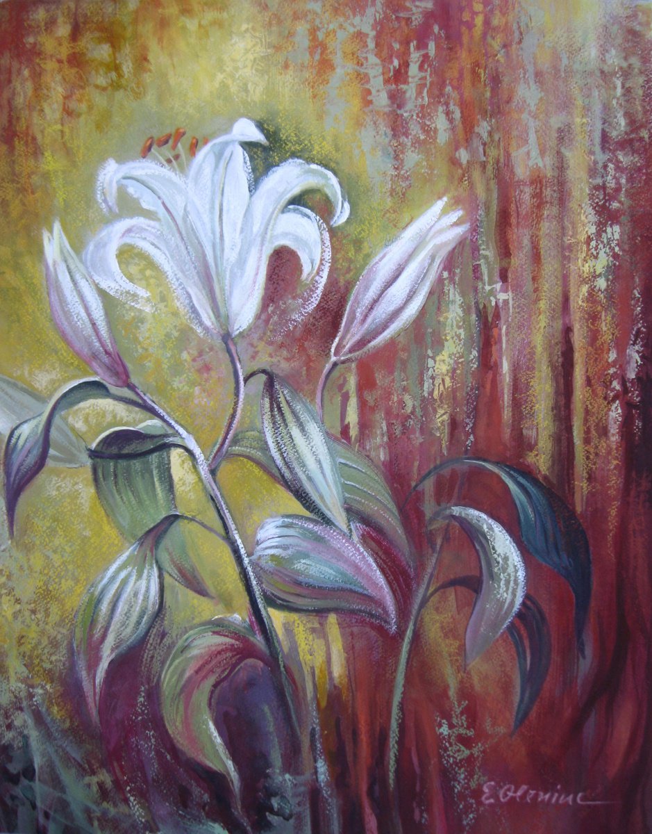 White lily by Elena Oleniuc