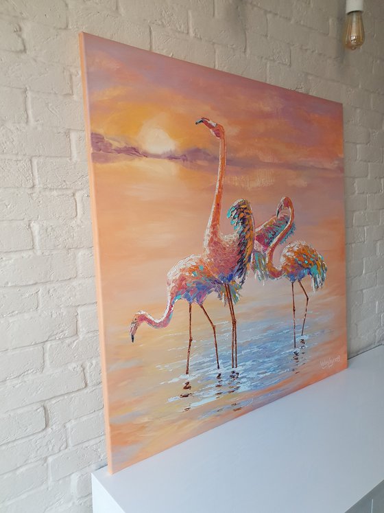 Flamingos