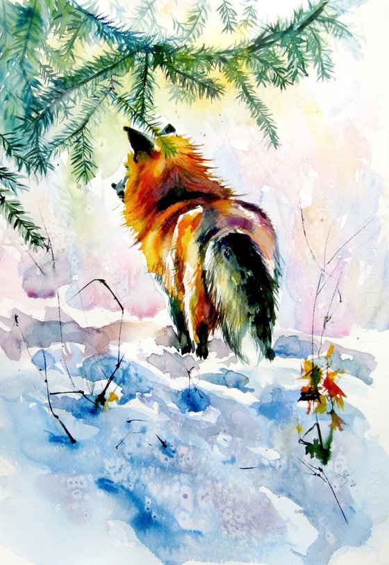 Red fox watching wintertime