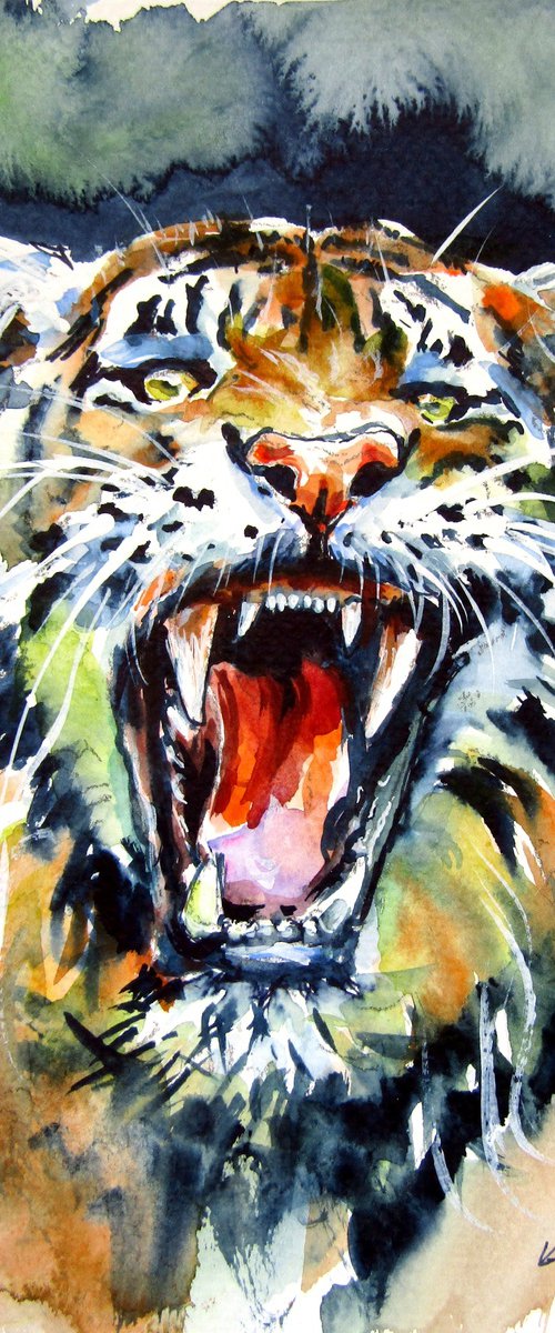 Angry tiger by Kovács Anna Brigitta