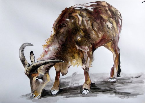 Goat by Soso Kumsiashvili
