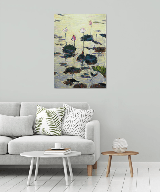 Water Lilies