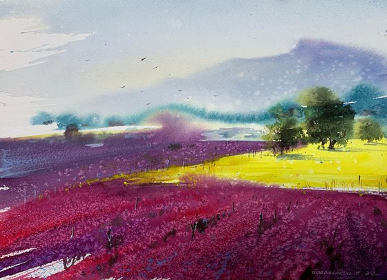 Lavender fields #2