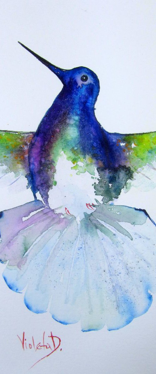 The Hummingbird 4 by Violeta Damjanovic-Behrendt