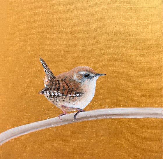 Jenny Wren