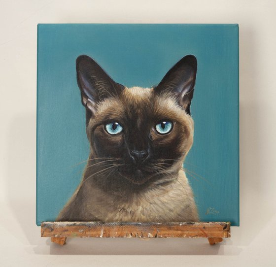 Elegant Siamese Cat