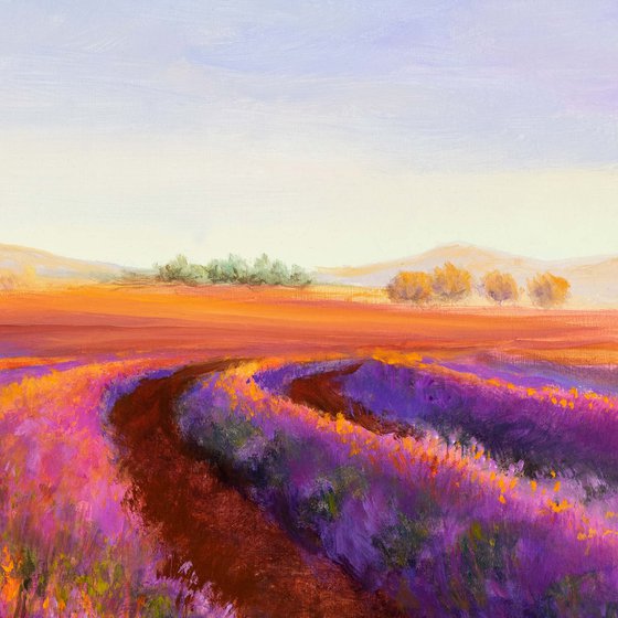 'A summer in Provence'