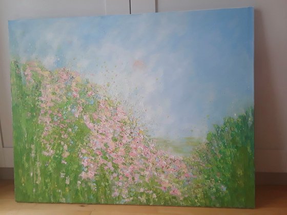 PINK SUMMER MORNING