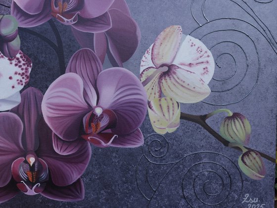 Purple Orchids