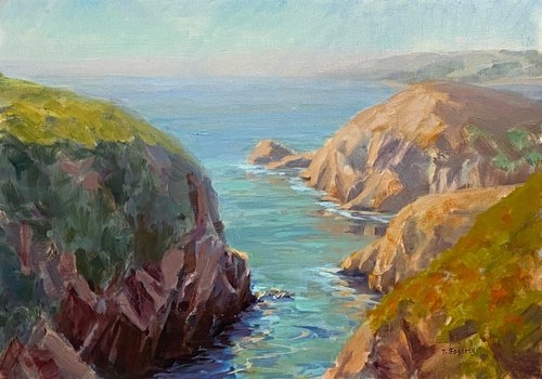Coastal Serenity Point Lobos by Tatyana Fogarty