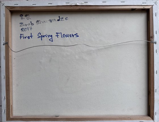 First Spring Flowers