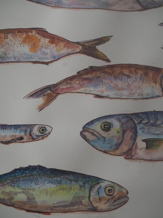 Set of fish - original seafood watercolor paintink and ink graphic