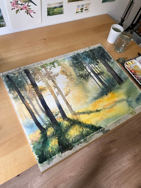 Misty Morning Forest