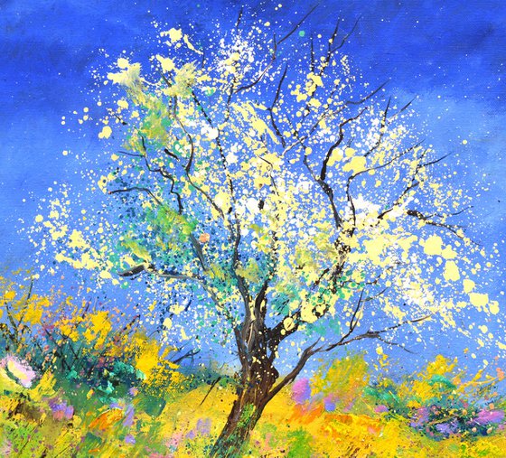 Spring in full bloom