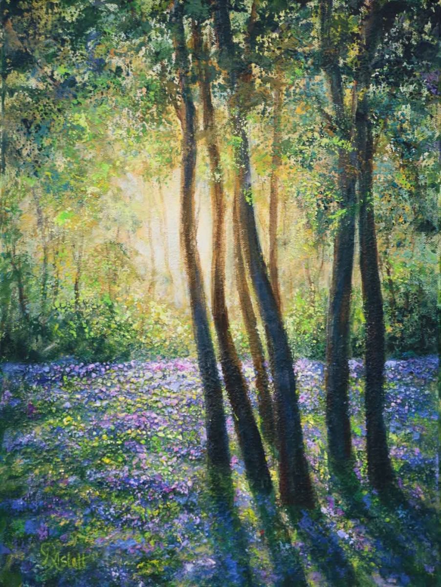 Bluebell wood by Ruth Aslett