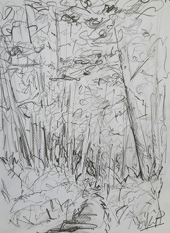 Walk in the woods - Pencil on Watercolour paper