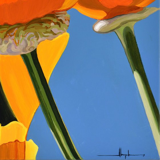 Californian Poppy and Pacific Wind #2