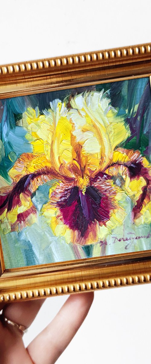 Iris redblooming by Nataly Derevyanko