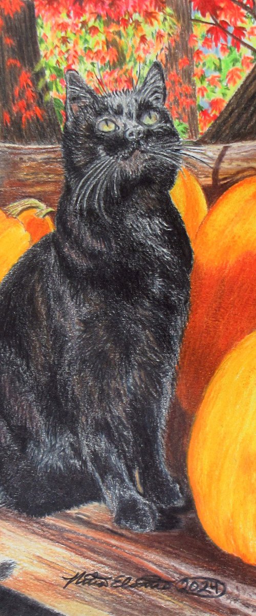 Binx's Autumn by Nina Elaine Thompson