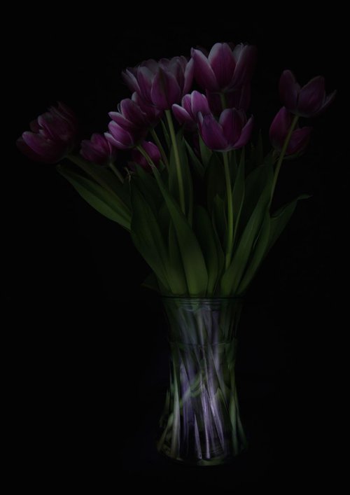 Tulip Sculpture by Paul Nash