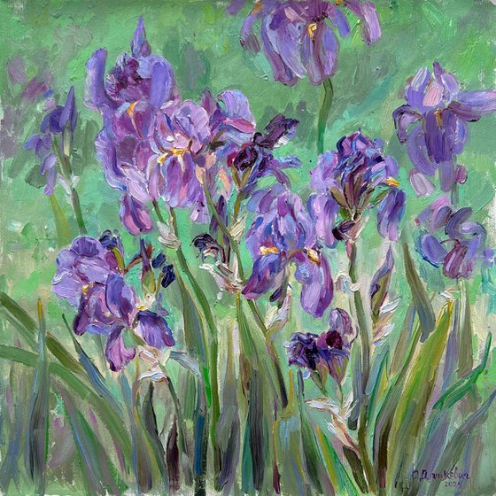 «Irises»