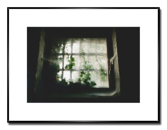 The Edge Of Existence - Unmounted