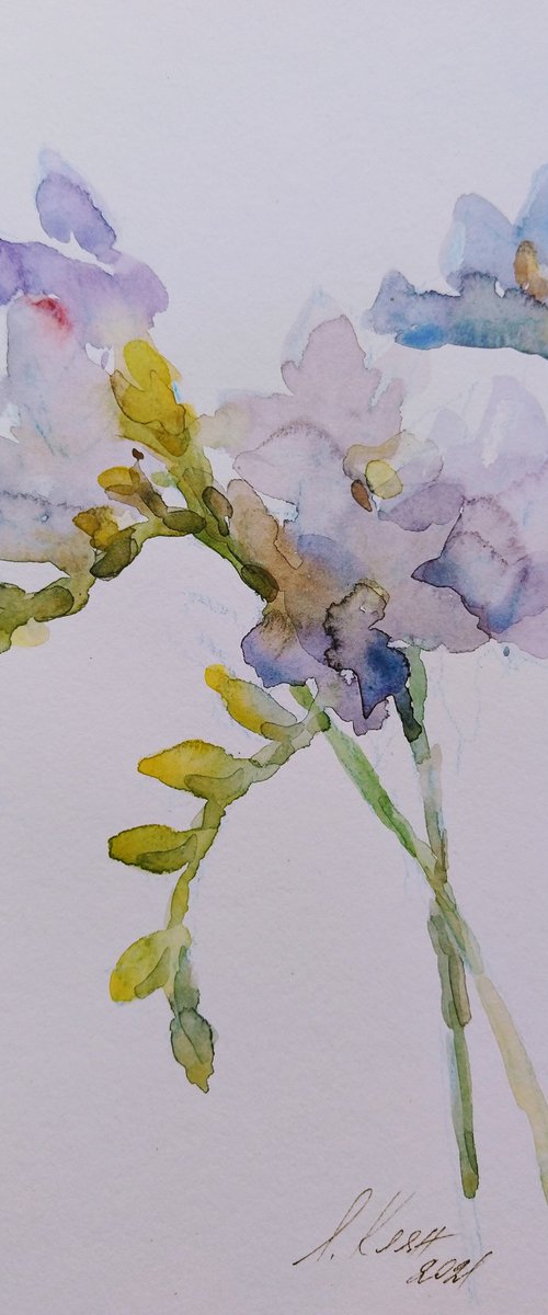 Freesias # 5 original watercolour painting. by Elena Klyan