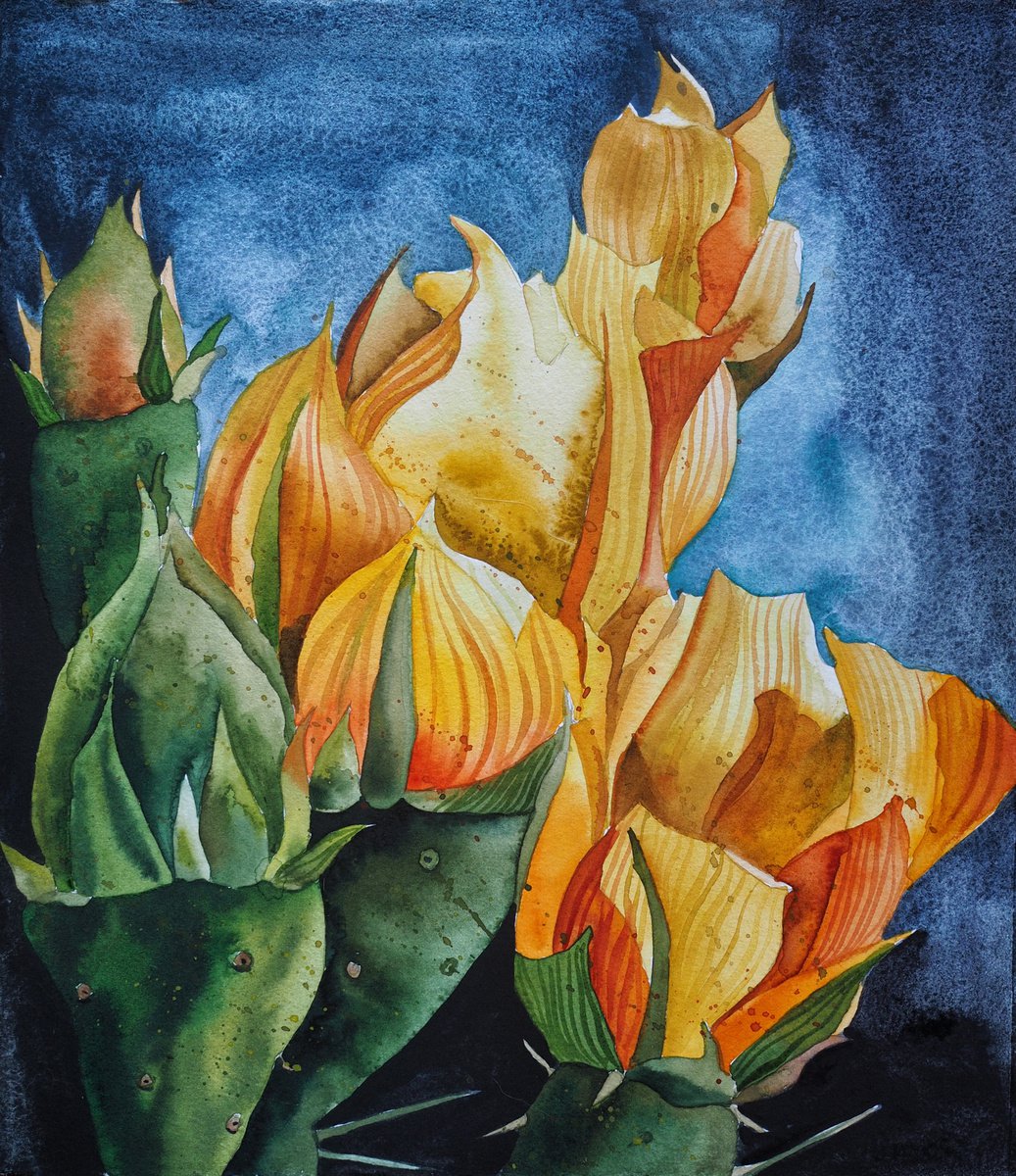 Opuntia flowers - original sunny watercolor by Delnara El