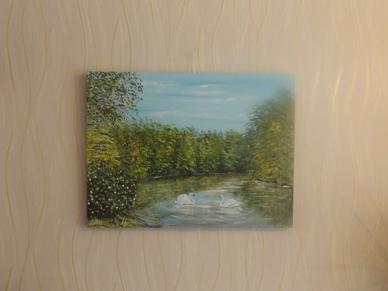 Tranquility on the Water