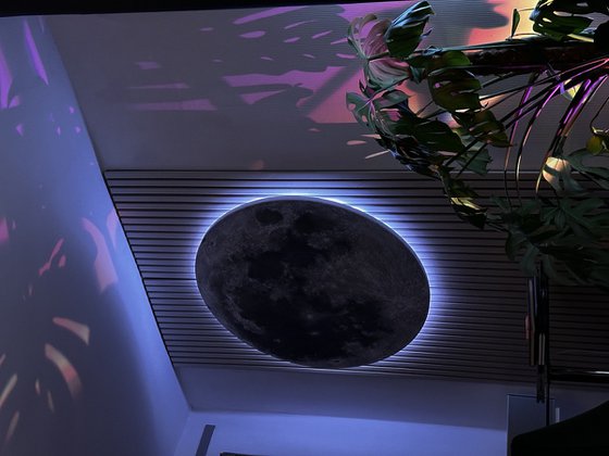 Moonage Daydream