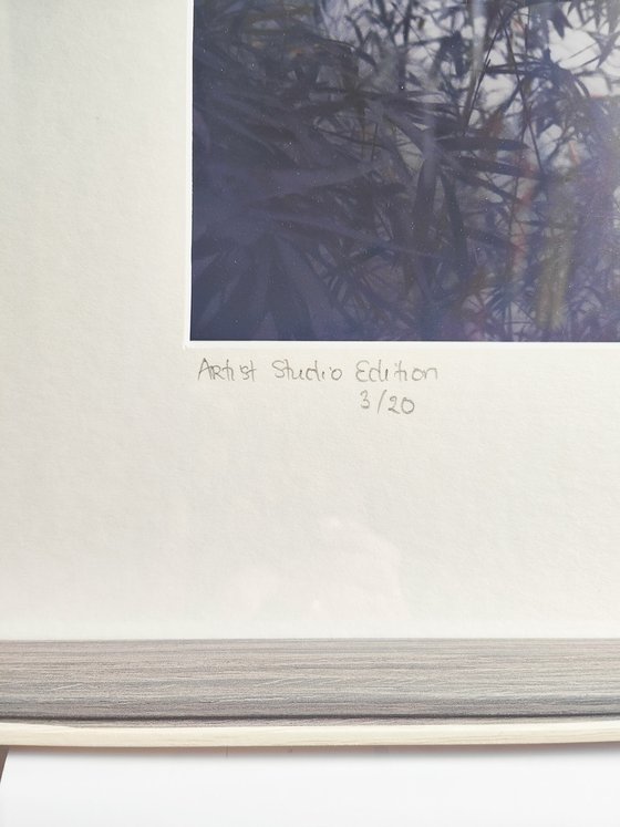 (FRAMED) The power of simplicity II