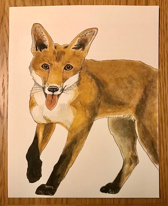 Fox