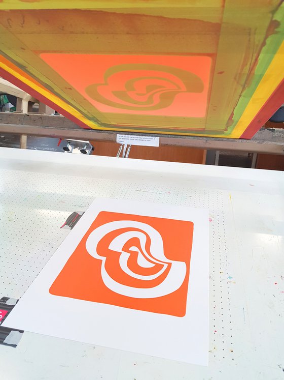 Duck Print II (Mandarin Orange)