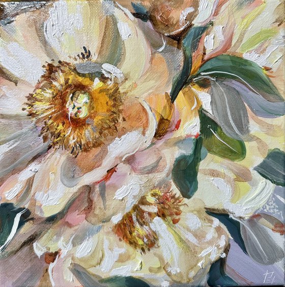Yellow peonies