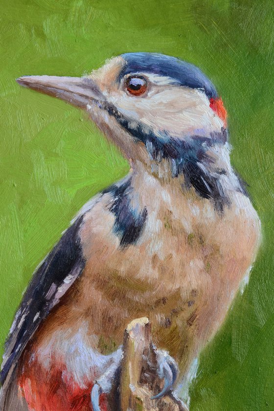 Woodpecker