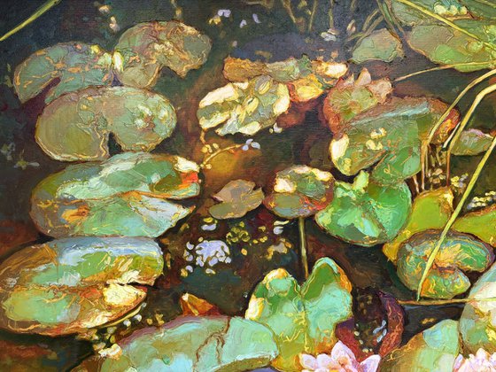 Water Lilies