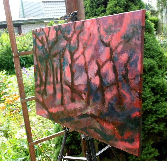 Old Forest #8
