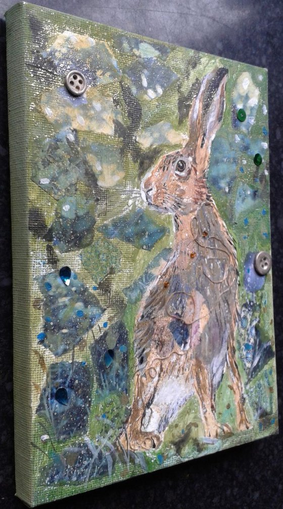 Hare in the green