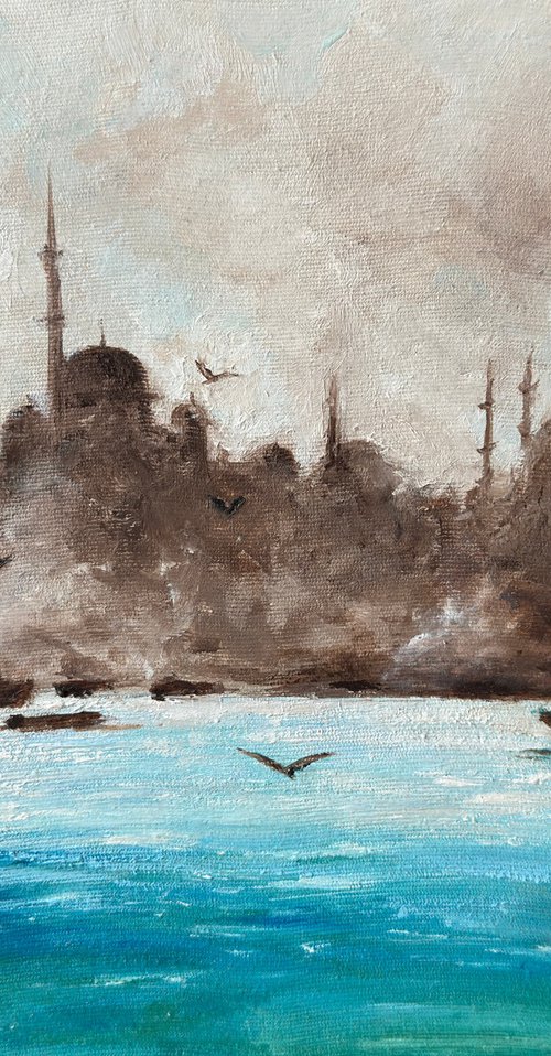 Istanbul landscape Bosphorus by Irina Magon