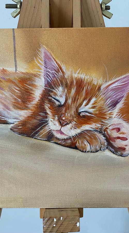 Sleepy kitty oil painting by Bethany Taylor