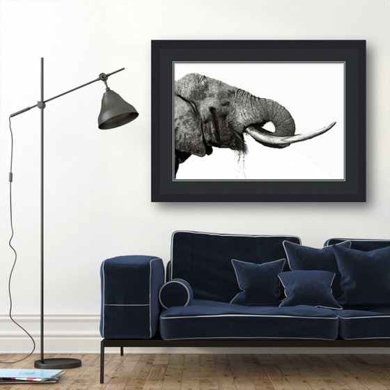 "Majestic" -  Elephant